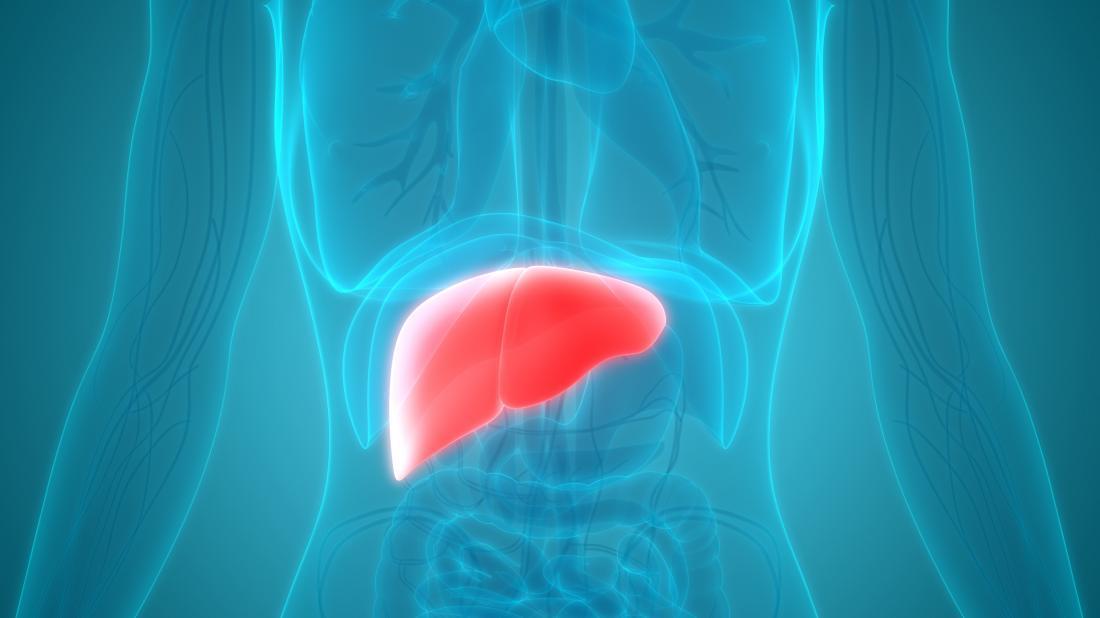 6 ways to help your liver and kidneys to clean the mold mycotoxins out